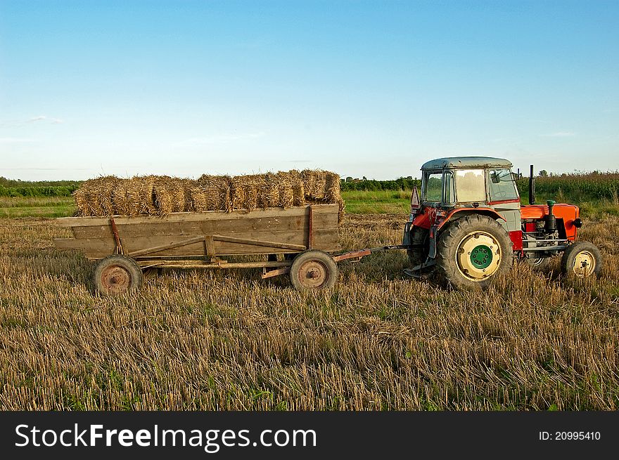 Folding sheaves of hay up to the old cart attached to the old tractor. Folding sheaves of hay up to the old cart attached to the old tractor