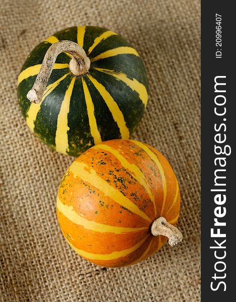 Two striped gourds on burlap Country style still life. Two striped gourds on burlap Country style still life