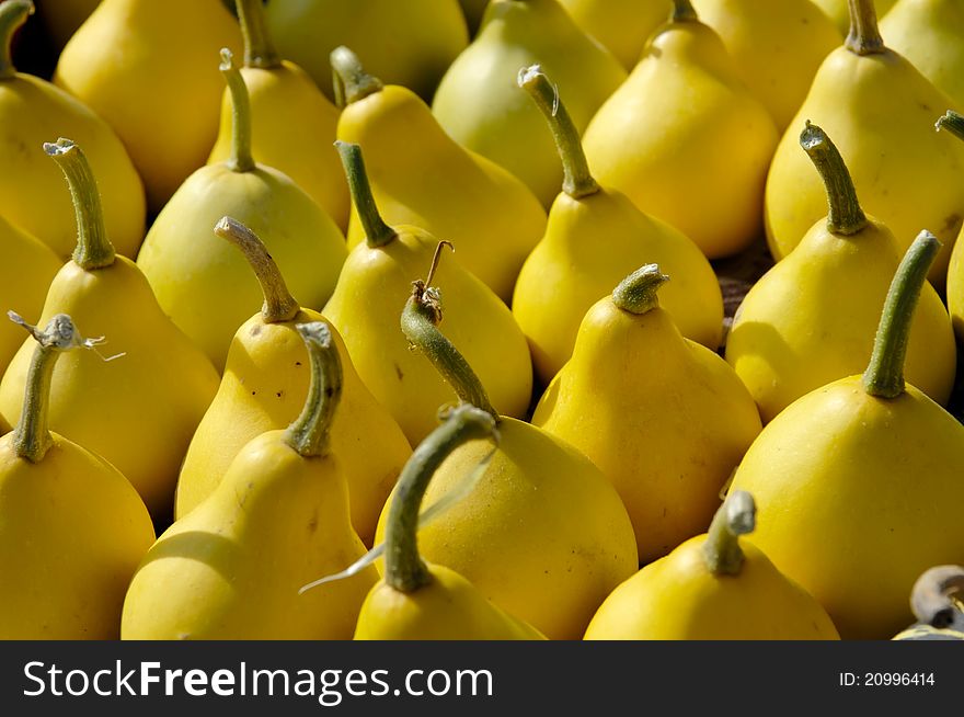 Small yellow pear-shaped gourds close-up background