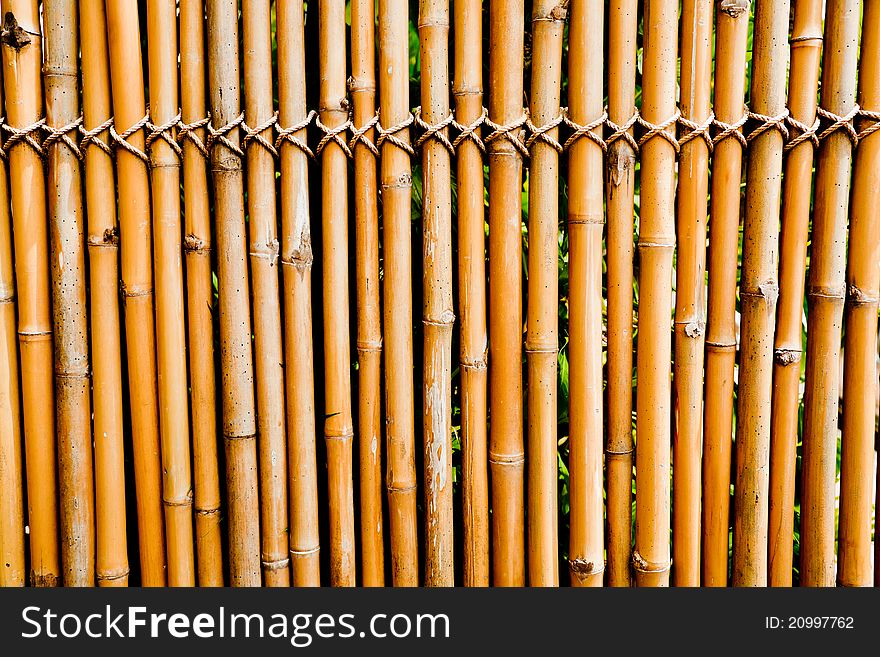 Old bamboo fence using as a background. Old bamboo fence using as a background