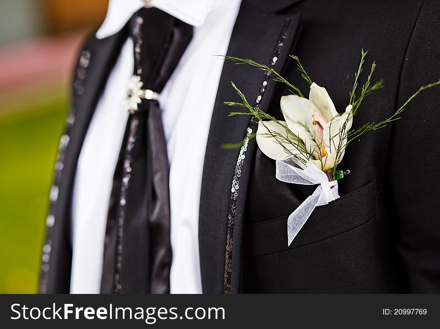 Groom with the boutonniere and tie