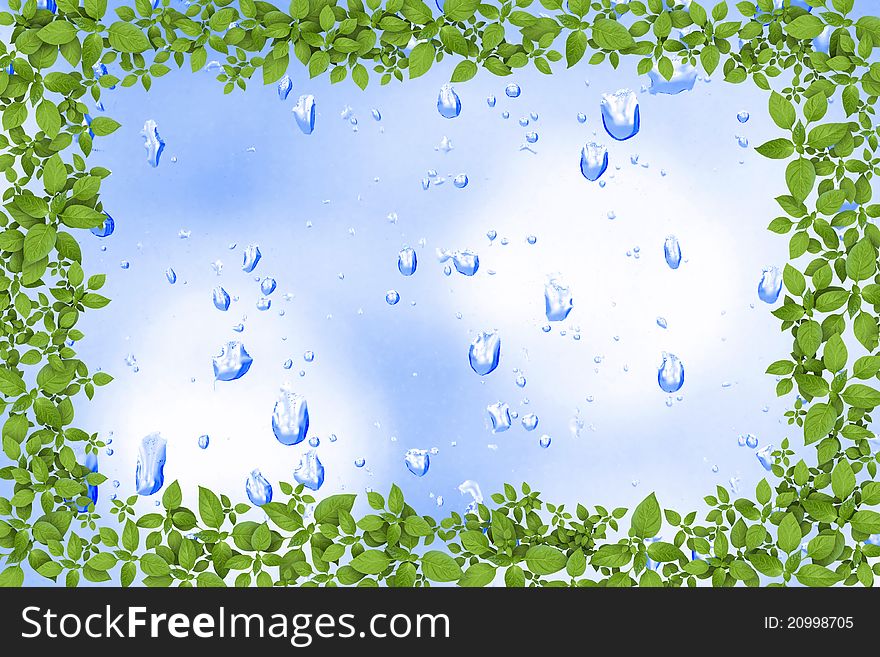 Water drops and green plant frame. Water drops and green plant frame