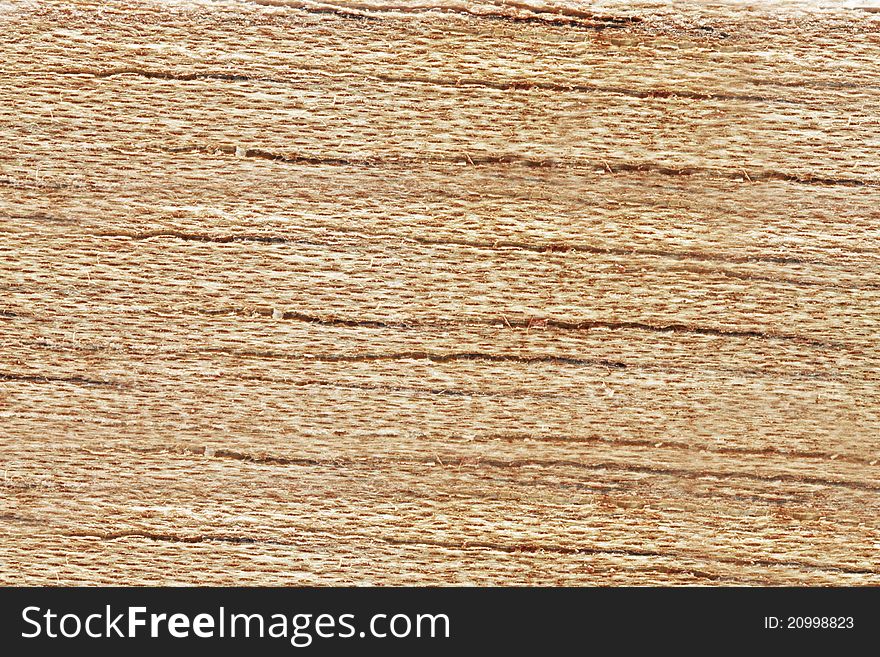 Texture of cedar background closeup macro