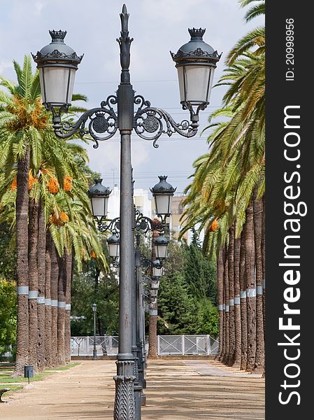 Avenue lampposts, palm trees surrounded by vertical