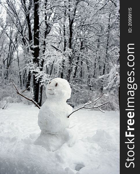 Funny snowman with stick arms.