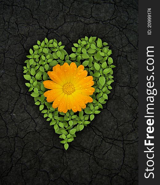Green Heart On Cracked Soil