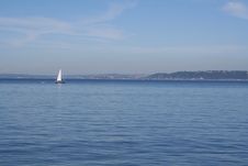 Sailboat In Puget Sound Royalty Free Stock Photo