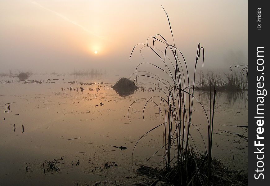 Foggy Morning On Tulchinskom Lake.