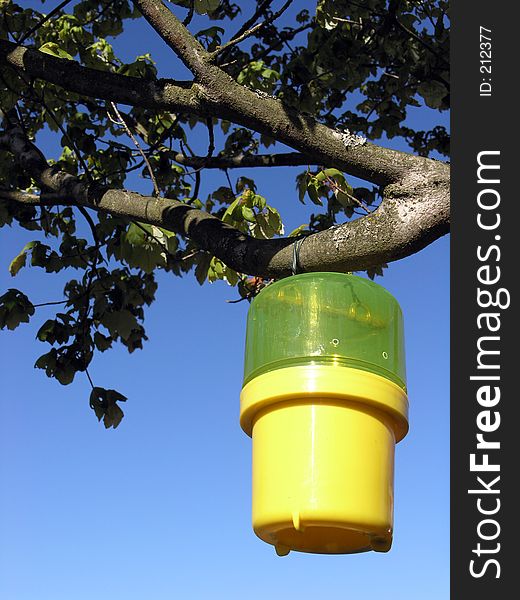 A plastic outdoor light hanging from the limb of a tree. A plastic outdoor light hanging from the limb of a tree.