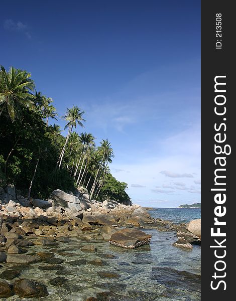 Rocky coastal edge with tall coconut trees and blue sky. Rocky coastal edge with tall coconut trees and blue sky