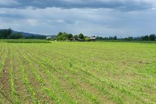 Landscape Of A Countryside Royalty Free Stock Photos Landscape Of A Countryside Royalty Free Stock Photos
