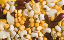 Variety Of Beans Stock Images