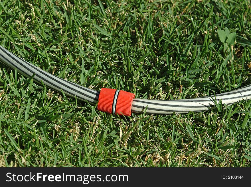 Hose of irrigation on grass in backyard