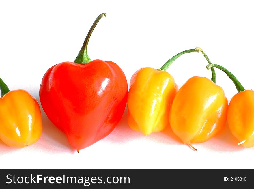 Red and yellow chilis isolated on white