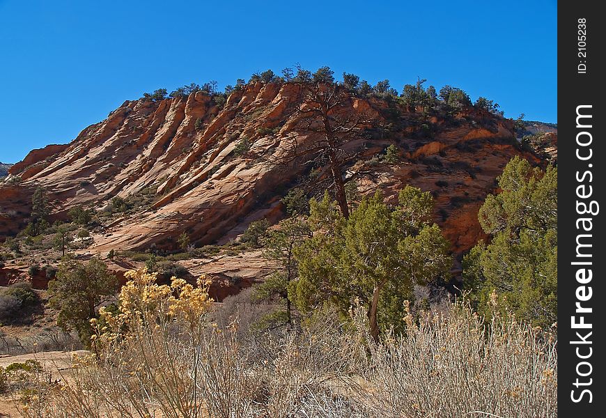 Mountains in Zion national park in Utah