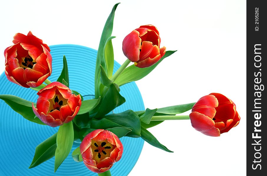 Red tulip arragement set on a blue placemat. Red tulip arragement set on a blue placemat