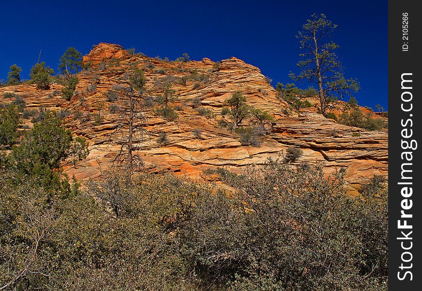 Mountains in Zion national park