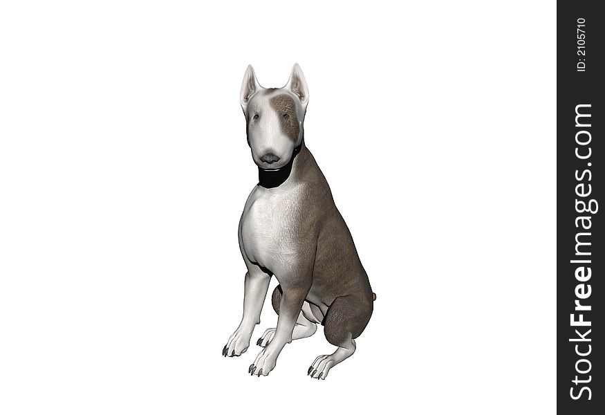 An alert female Bull Terrier sits and watches.  Computer Generated Image, 3D Models