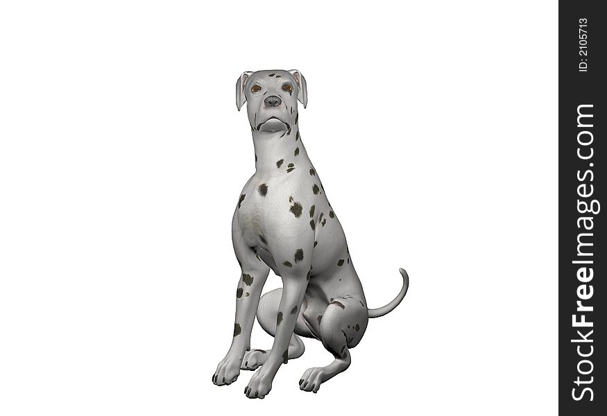 An alert male Dalmatian sits and watches.  Computer Generated Image, 3D models