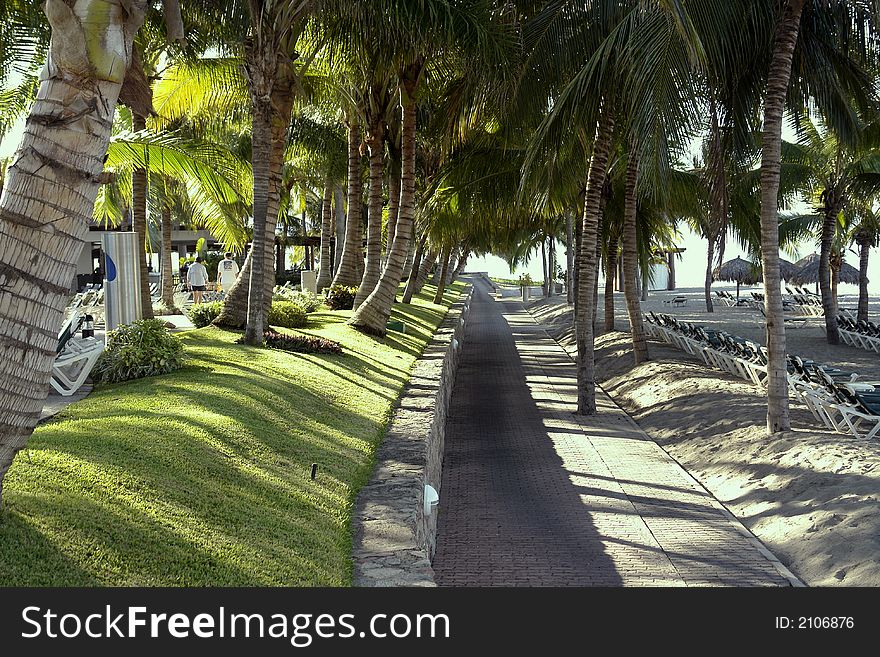 A path leading towards the ocean divides the pool area from the ocean with palm trees shading walkway,. A path leading towards the ocean divides the pool area from the ocean with palm trees shading walkway,