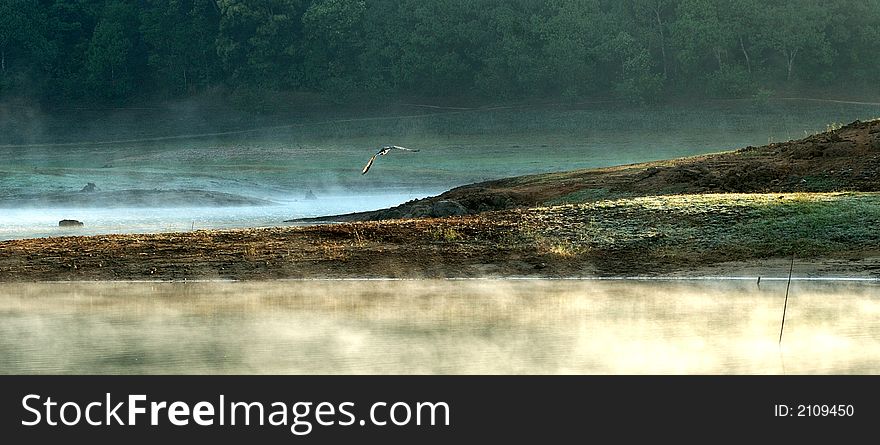 This photograph is taken from periyar tiger reserve in kerala.its a row file. This photograph is taken from periyar tiger reserve in kerala.its a row file.