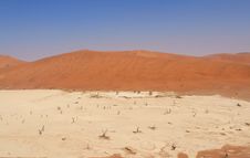 Sossusvlei Dead Valley Landscape. Nanib Desert Royalty Free Stock Images