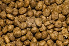 Cat Food Stock Photos Cat Food Stock Photos