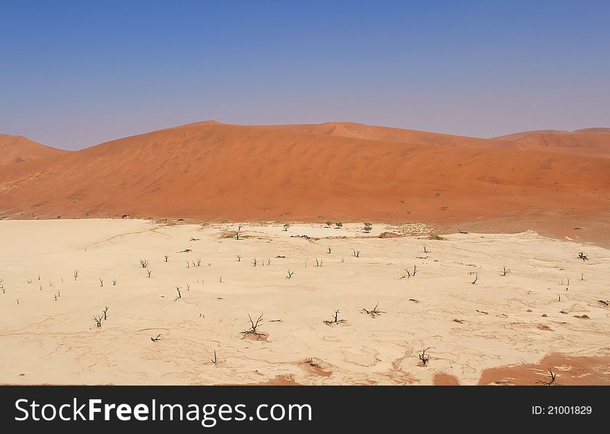 Sossusvlei dead valley landscape. Nanib desert