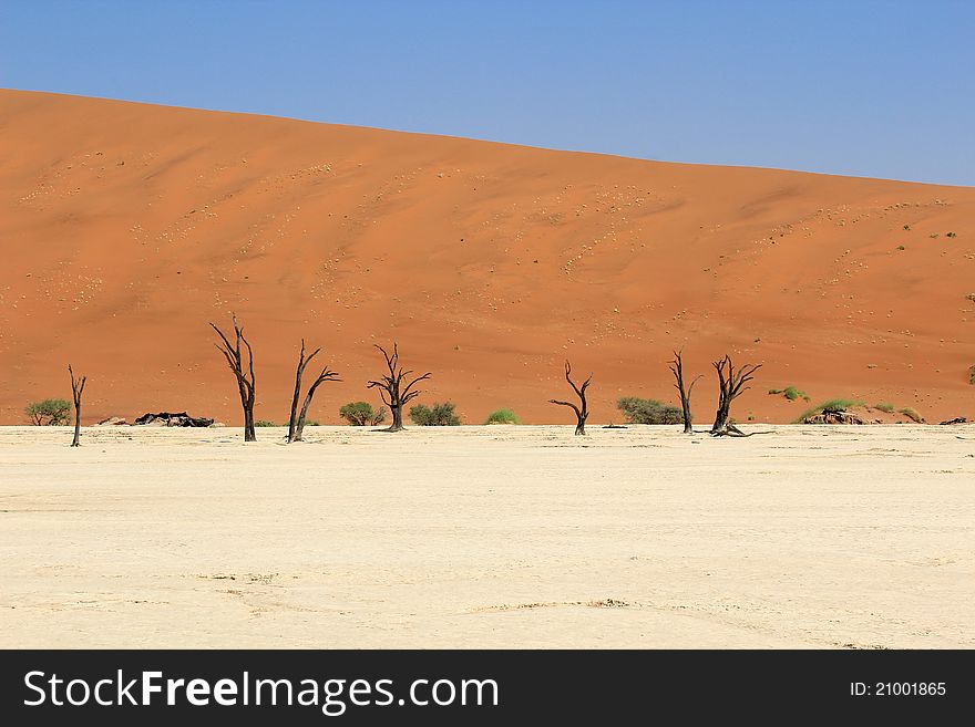 Sossusvlei dead valley landscape. Nanib desert