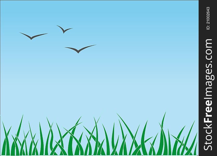 Grass and birds on blue sky. Grass and birds on blue sky