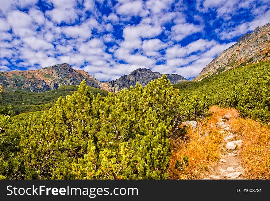 Autumn excursion to the Tatra mountains. Autumn excursion to the Tatra mountains