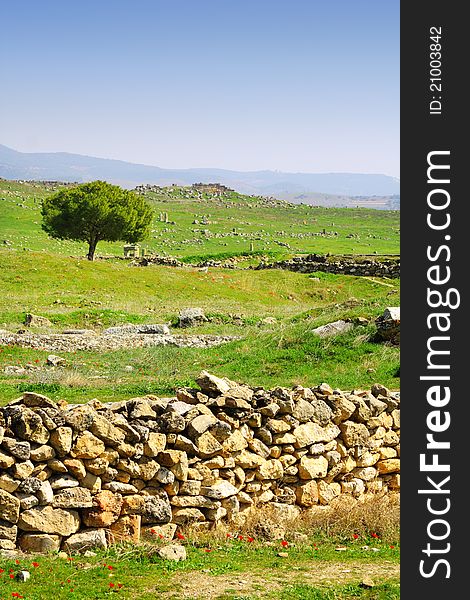 Image of ancient ruins and lonely tree