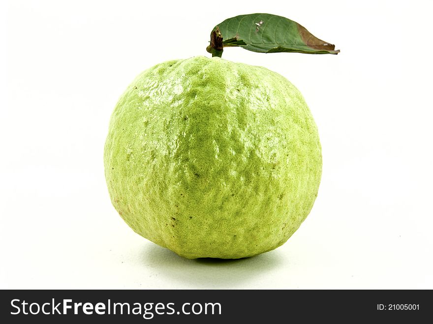 Green and fresh guava fruit.