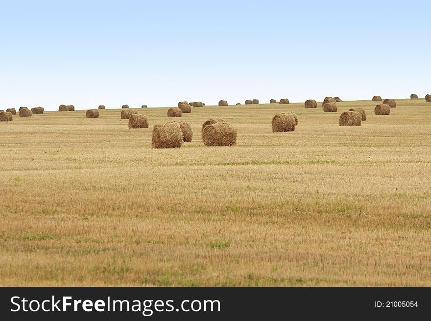 Rolls of dry straw at a big spacious field. Rolls of dry straw at a big spacious field