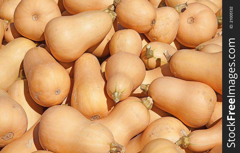 Colorful pumpkins