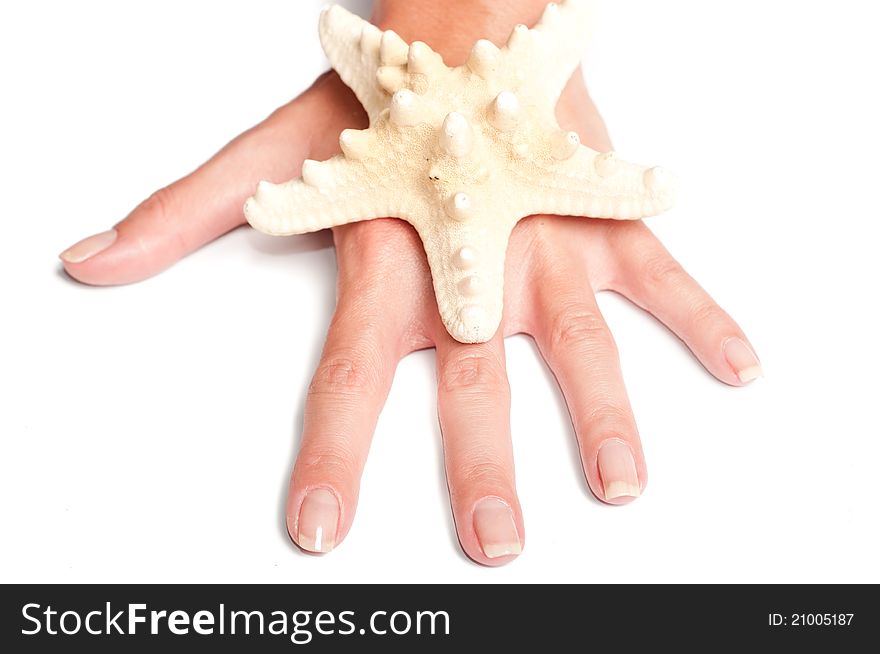 Hand and starfish on a white backround