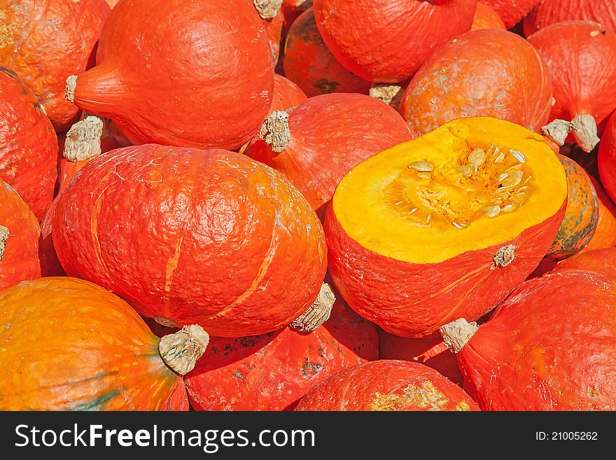 Colorful pumpkins collection on the autumn market