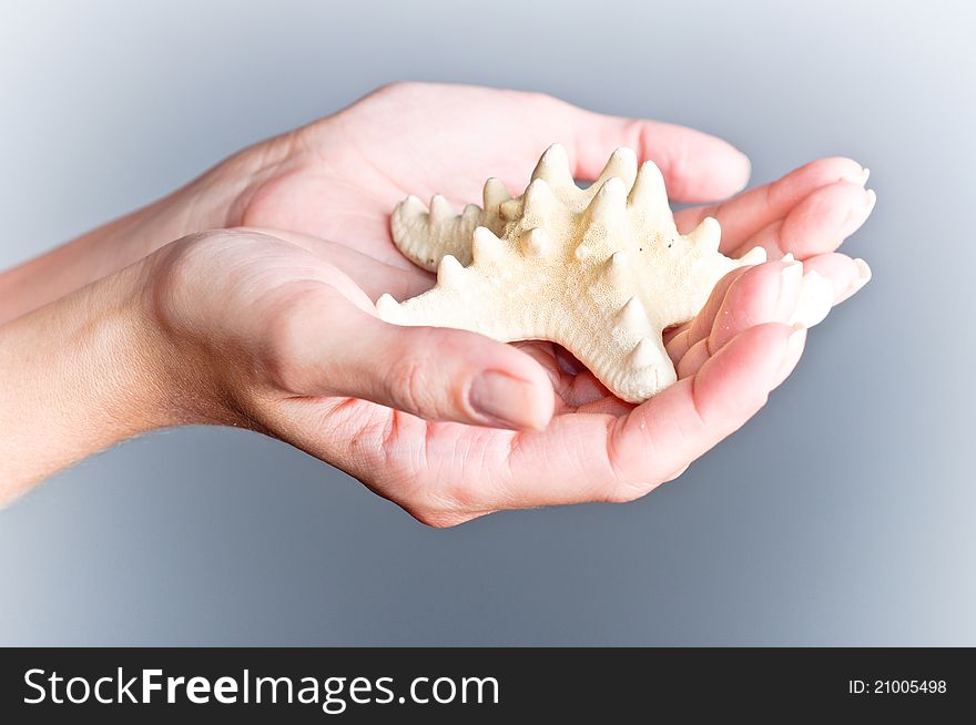 Open hands holding a starfish. Open hands holding a starfish