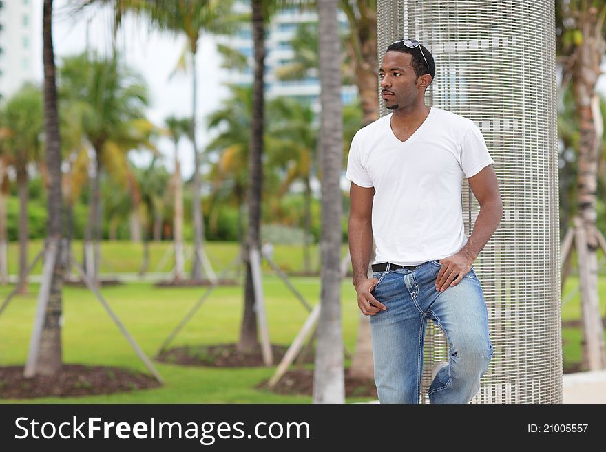 Image of a handsome young black man casually posing in the park. Image of a handsome young black man casually posing in the park