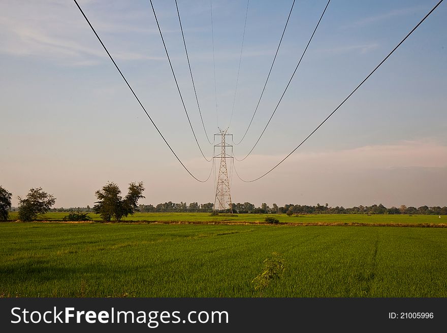 High voltage electric pole in green rice farm landscape