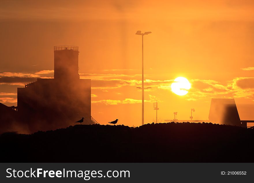 Industrial factory with birds at sunset. Industrial factory with birds at sunset