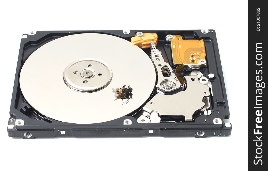 A dead fly sitting on an open SATA hard drive. A dead fly sitting on an open SATA hard drive