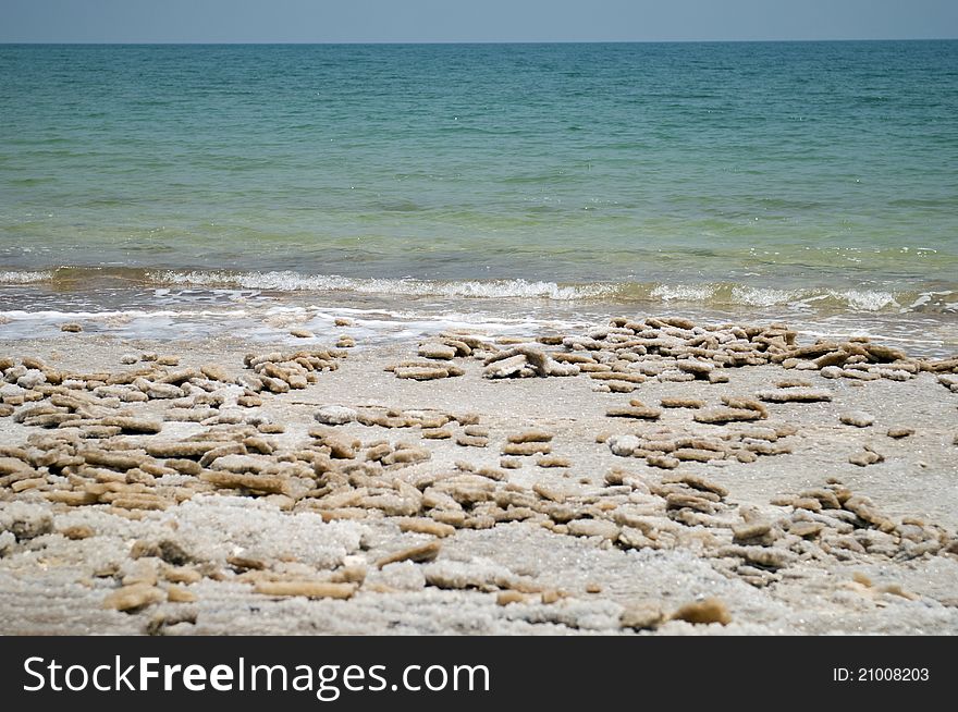 Salt On Banks Of Dead Sea