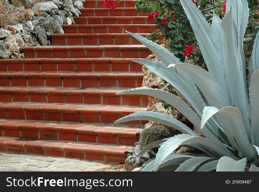Red tiled stairway with rocks, cactus and flowers. Red tiled stairway with rocks, cactus and flowers