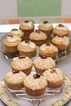 Vanilla And White Chocolate Frosting Cupcakes Stock Images Vanilla And White Chocolate Frosting Cupcakes Stock Images