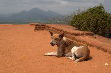 View From Sigiriya Rock, Sri Lanka Royalty Free Stock Photos