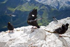 Crows Mountain Stock Image
