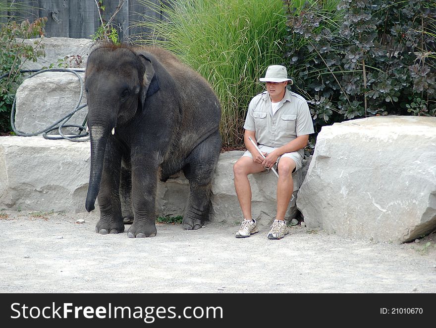 Elephant and his master are resting after the show