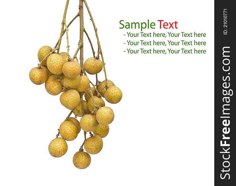 The longan on white background. The longan on white background