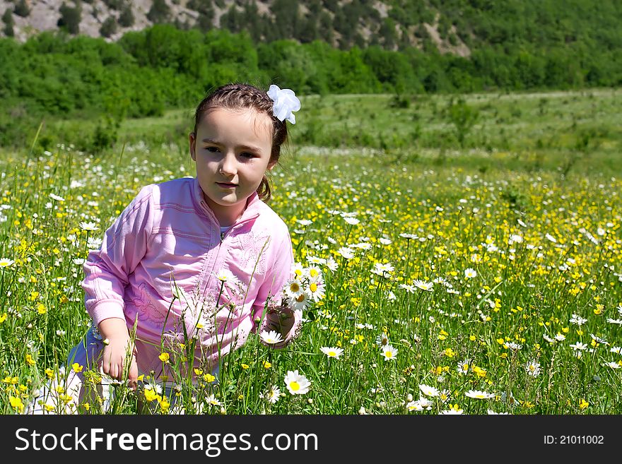 Little girl in a meadow with wild flowers